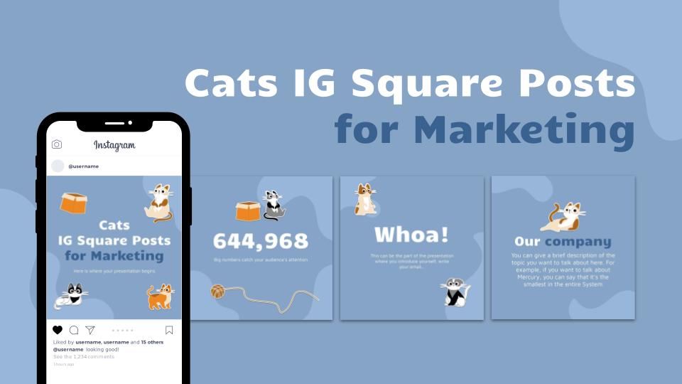 Cats IG Square Posts for Marketing | Google Slides & PPT