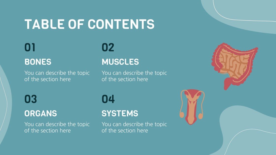 Science Project: Human Anatomy | Google Slides & PPT