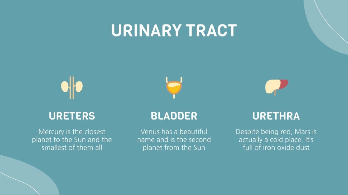 Science Project: Human Anatomy | Google Slides & PPT