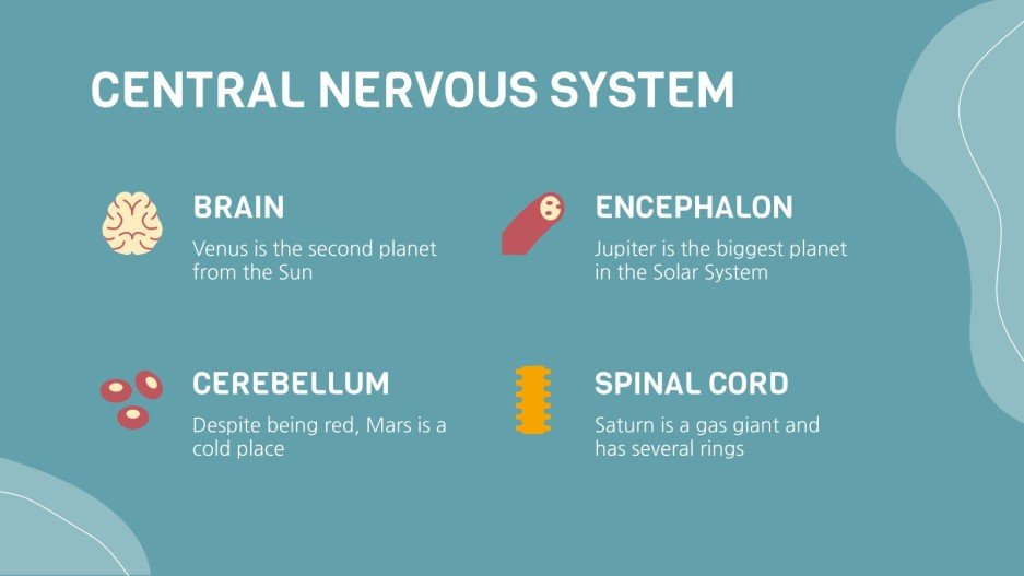 Science Project: Human Anatomy | Google Slides & PPT