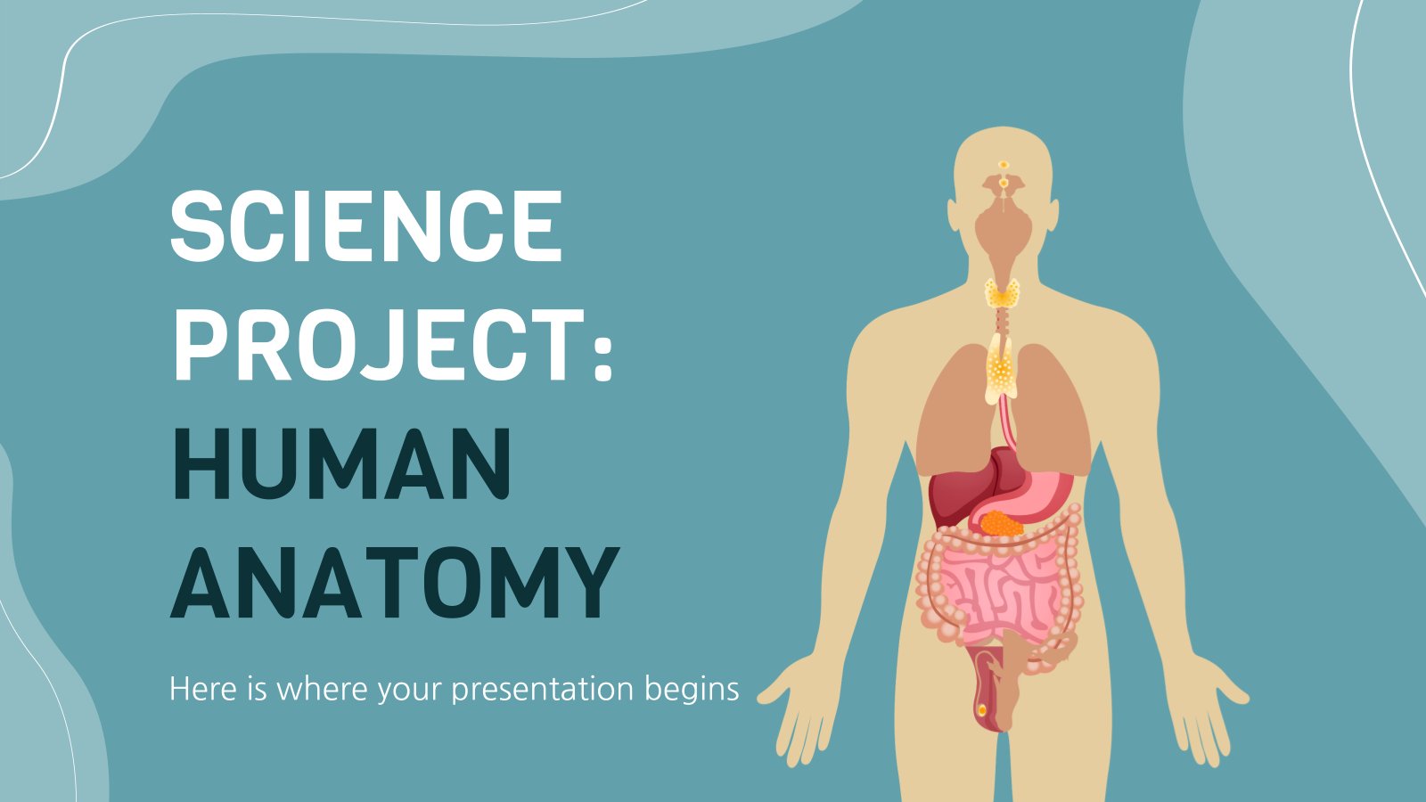 Free templates about anatomy for Google Slides & PPT