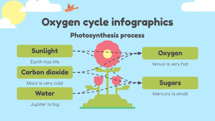 Infographies - Science pour l'école élémentaire : le cycle de l'oxygène Modèles de présentation