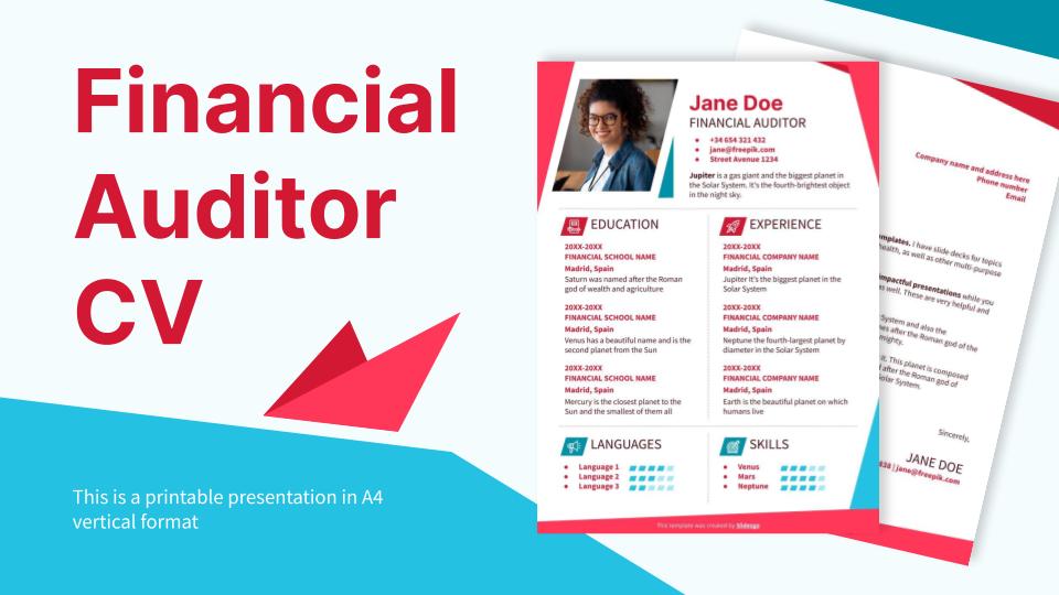 Financial Auditor CV Presentation