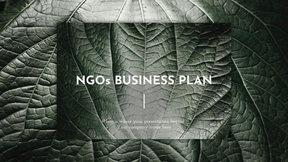 Business plan d’ONG Modèles de présentation