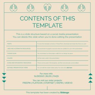 Minimalist Aesthetic IG Stories for Social Media presentation template 