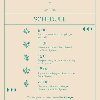 Minimalist Aesthetic IG Stories for Social Media presentation template 