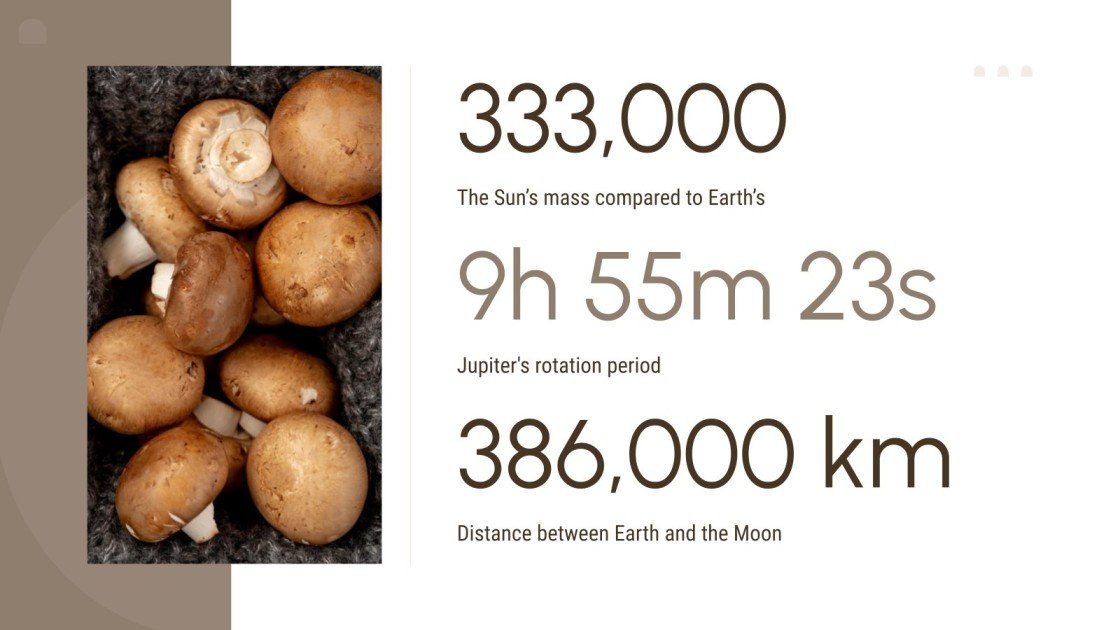 Mushroom Recipes Newsletter Google Slides & PPT