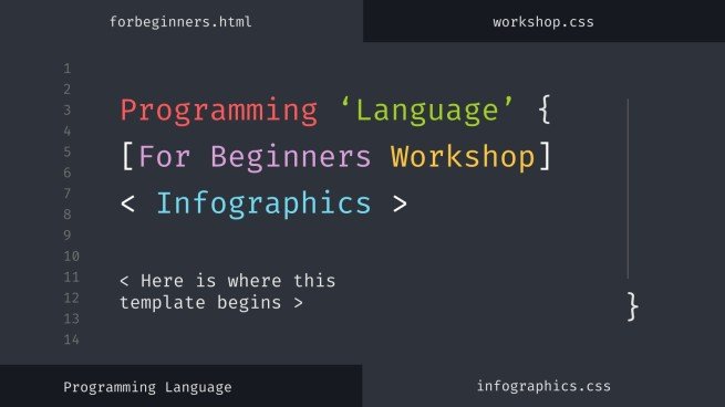 Programming Language Workshop for Beginners Infographics