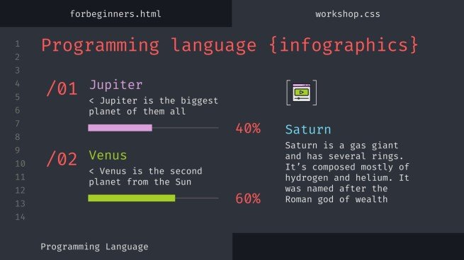 Programming Language Workshop for Beginners Infographics