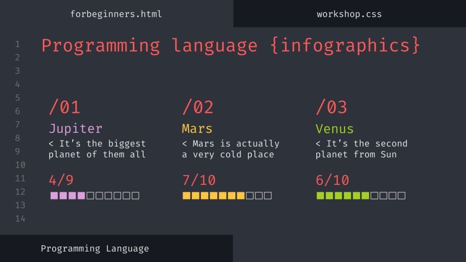 Programming Language Workshop for Beginners Infographics