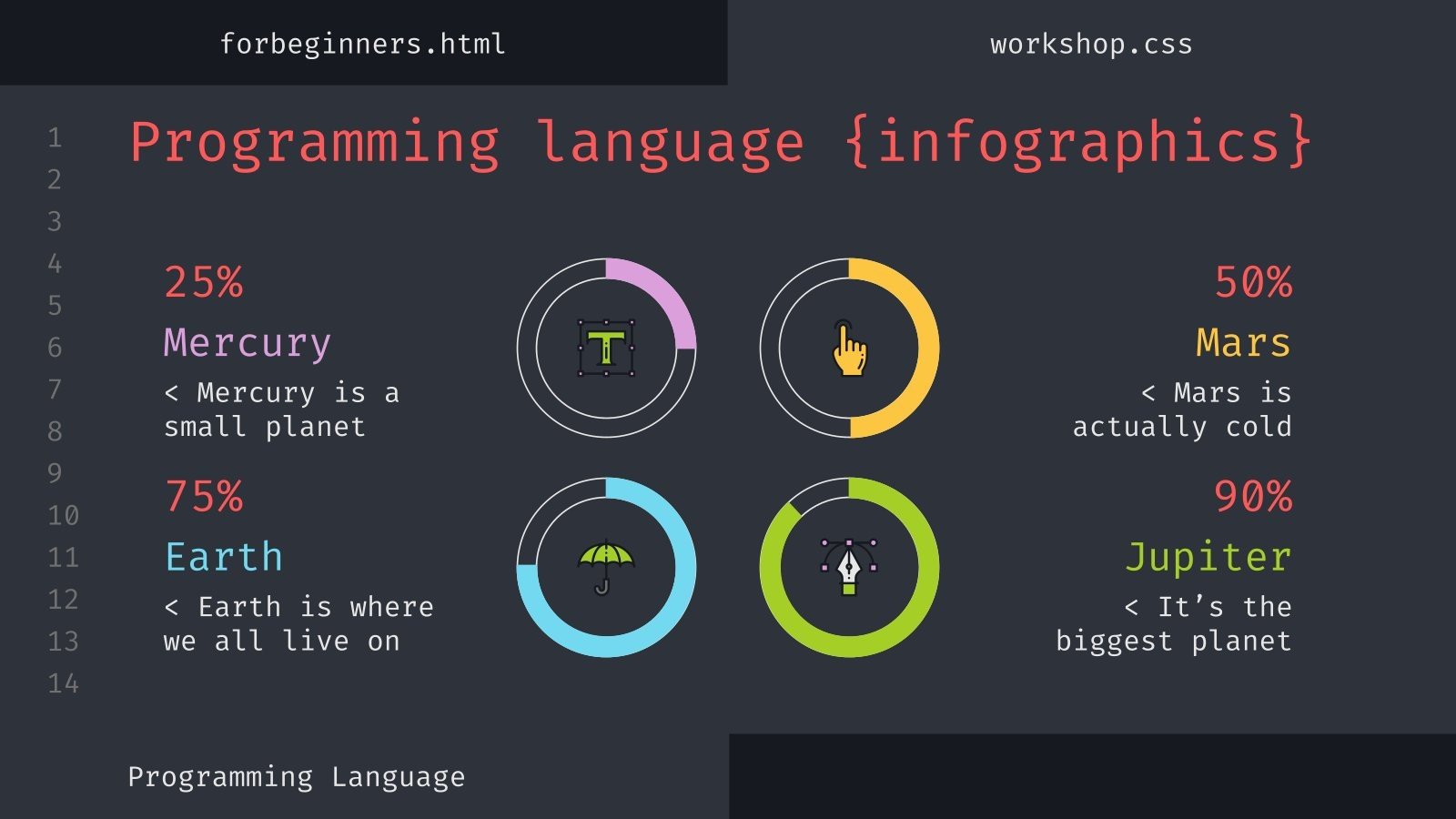 Programming Language Workshop for Beginners Infographics