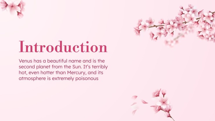 Enjoy Cherry Blossom Season! presentation template 