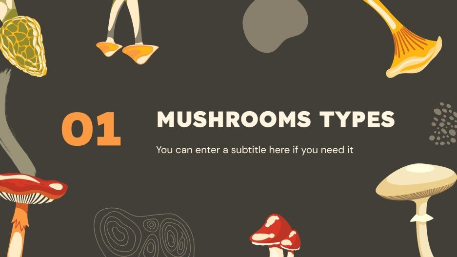 Mushroom Hunting Tips Minitheme