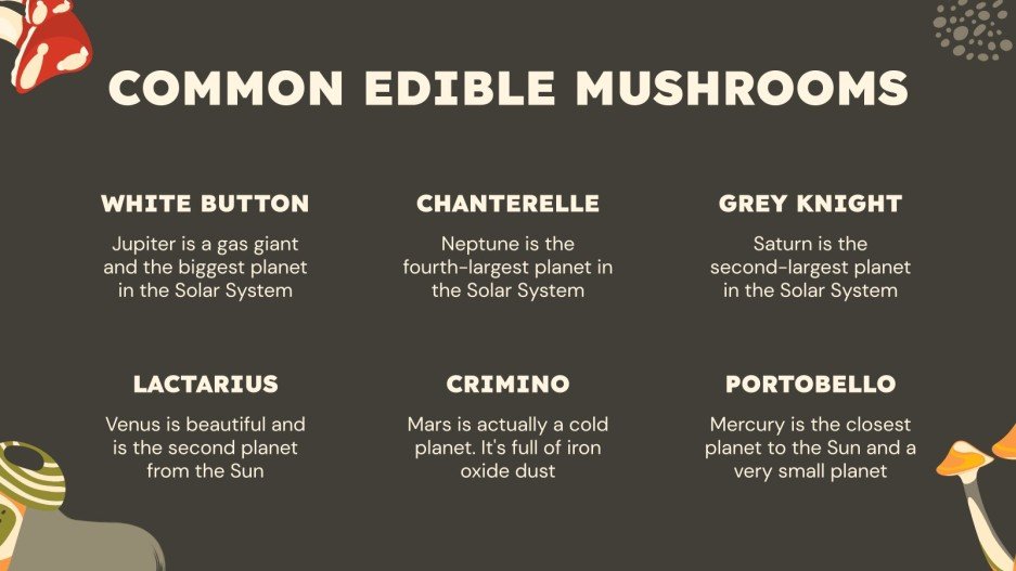 Mushroom Hunting Tips Minitheme