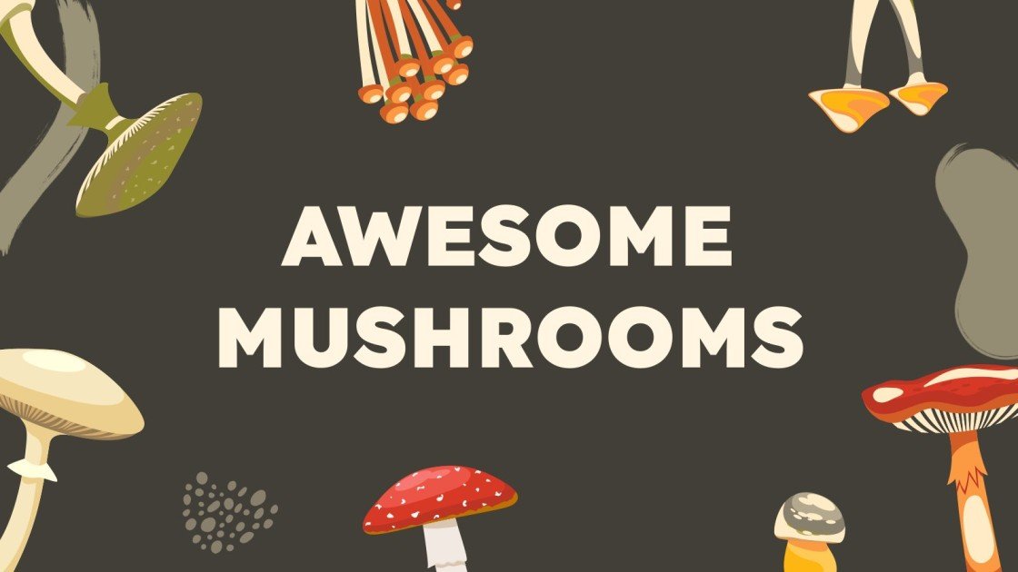 Mushroom Hunting Tips Minitheme