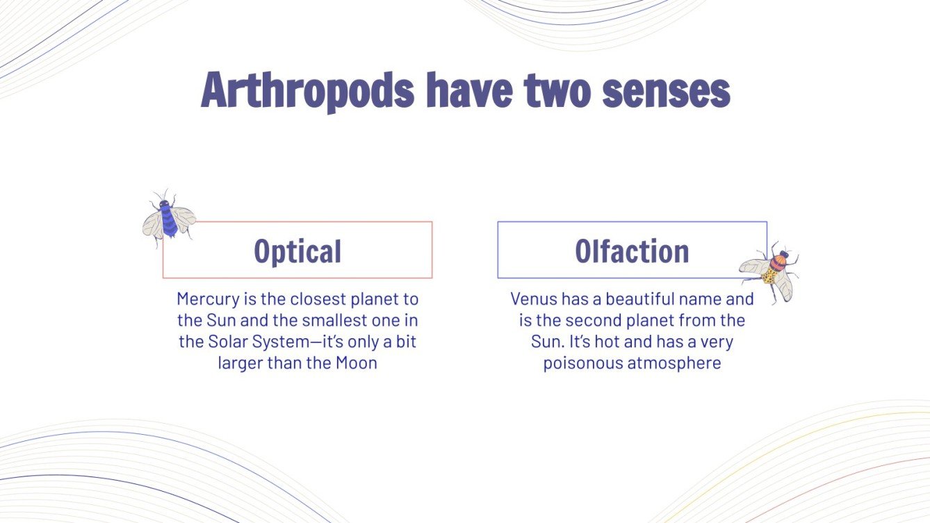 Biology for High School Arthropods Theory & Exercises