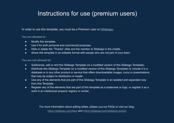 피칭 제품 브로셔 프레젠테이션 템플릿