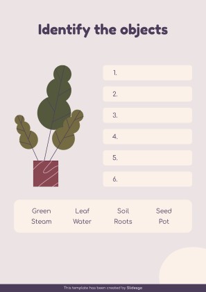 Vocabulary Learning Bubble Maps for Education presentation template 