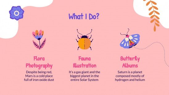 Butterflies Portfolio presentation template