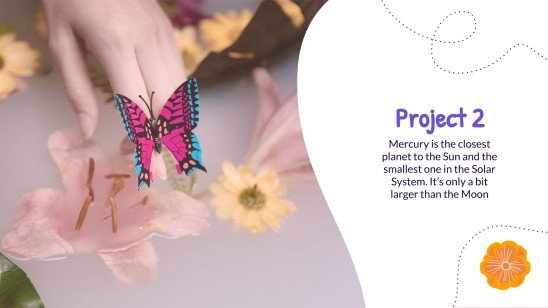 Butterflies Portfolio presentation template