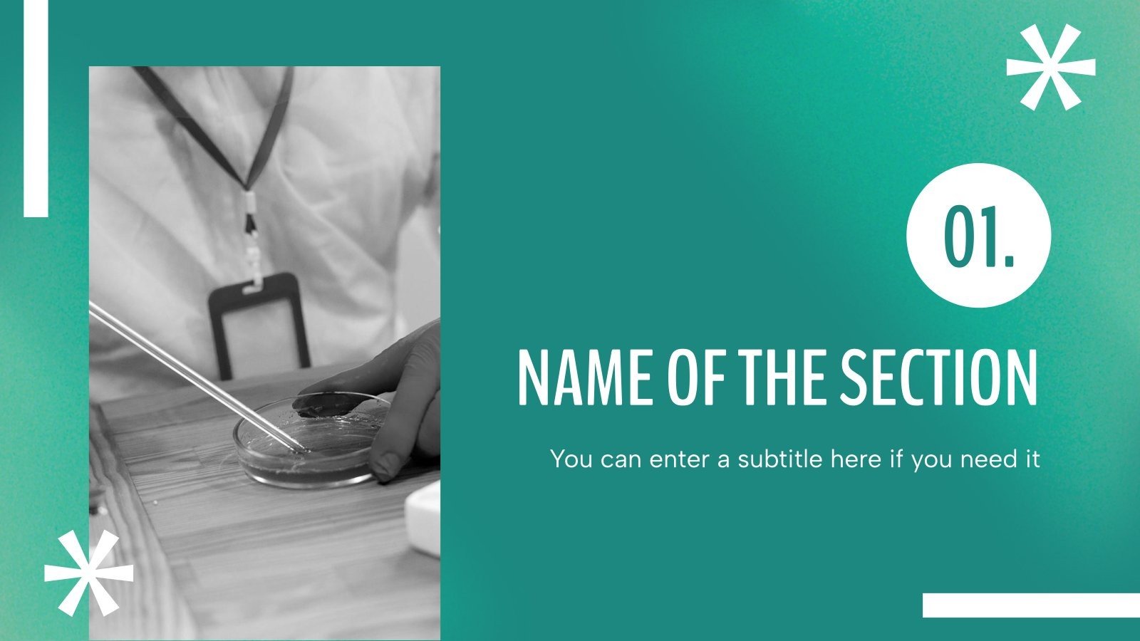 Biosafety Laboratory Company Profile