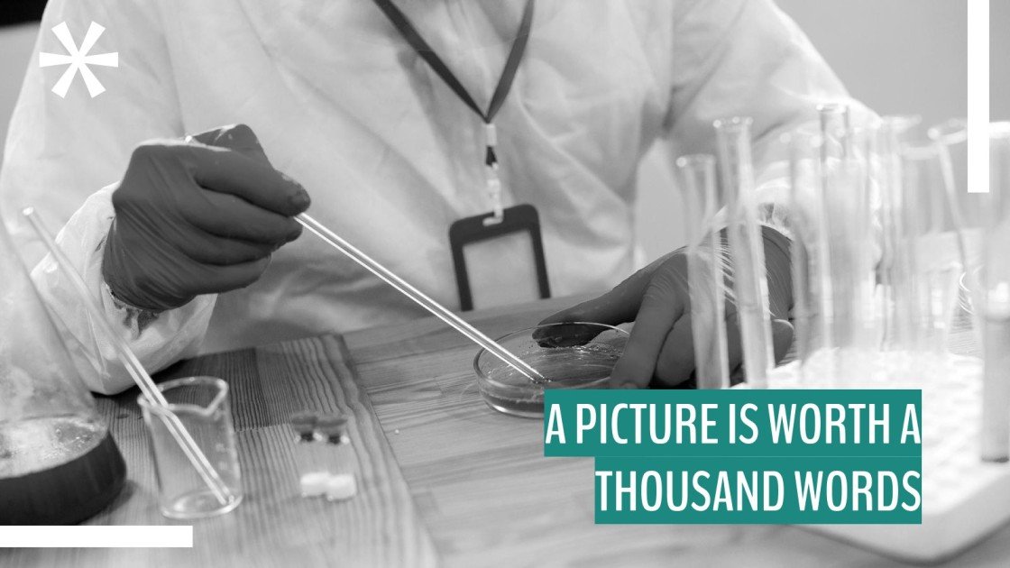 Biosafety Laboratory Company Profile