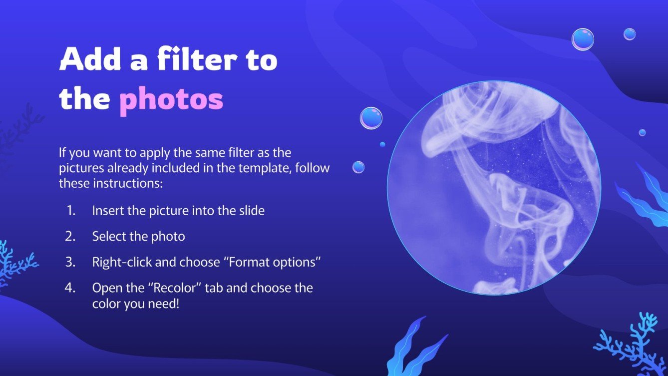 All About Jellyfish Google Slides & PowerPoint template