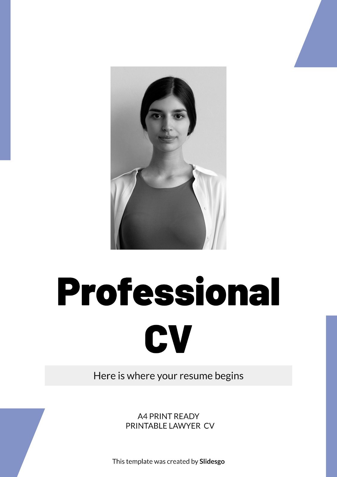 Professional CV presentation template 