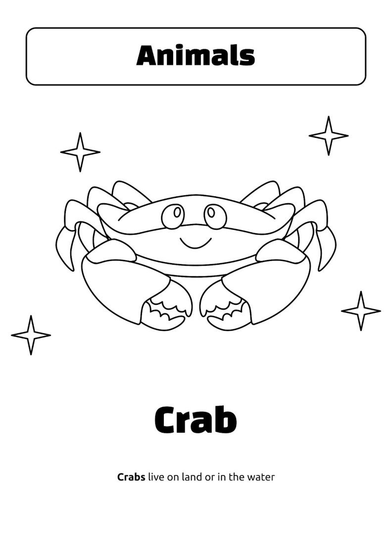 Páginas para colorear de animales para preescolar