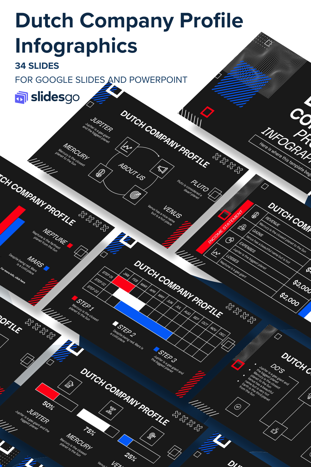 Dutch Company Profile Infographics