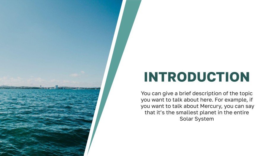 GOOGLE SLIDES PROFESSIONAL THEME visual data 8