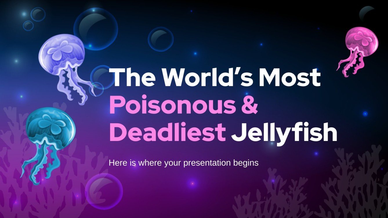 The World's Most Poisonous & Deadliest Jellyfish