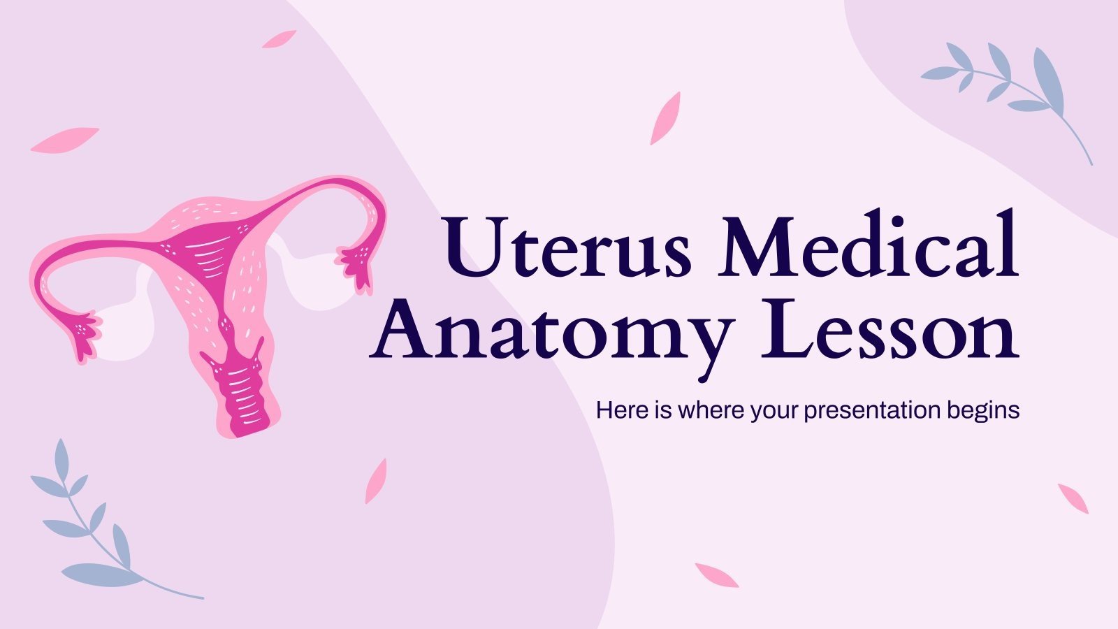 UTERUS HUMAN ANATOMY IMAGE FUNCTION DISEASES AND TREATMENTS visual data 8