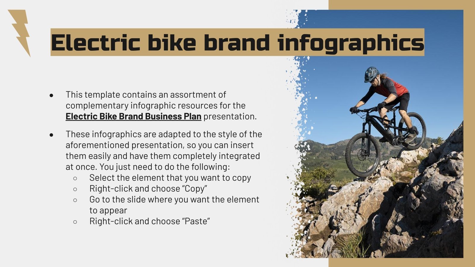 Electric Bike Brand Business Plan Infographics