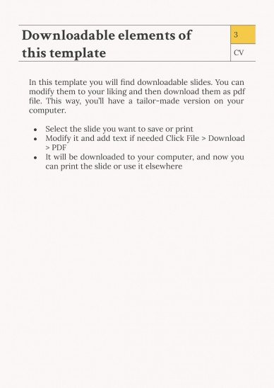 Newspaper Columnist CV presentation template