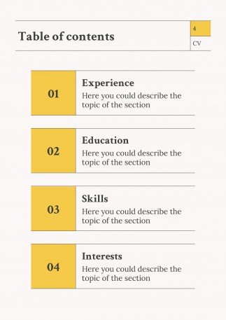 Newspaper Columnist CV presentation template