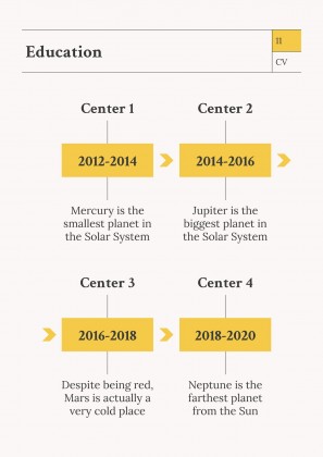Newspaper Columnist CV presentation template
