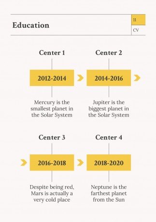 Newspaper Columnist CV presentation template