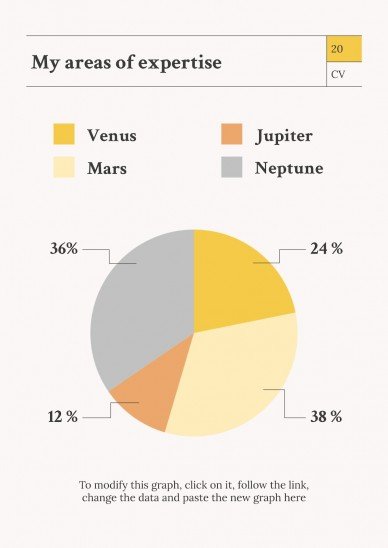 Newspaper Columnist CV presentation template