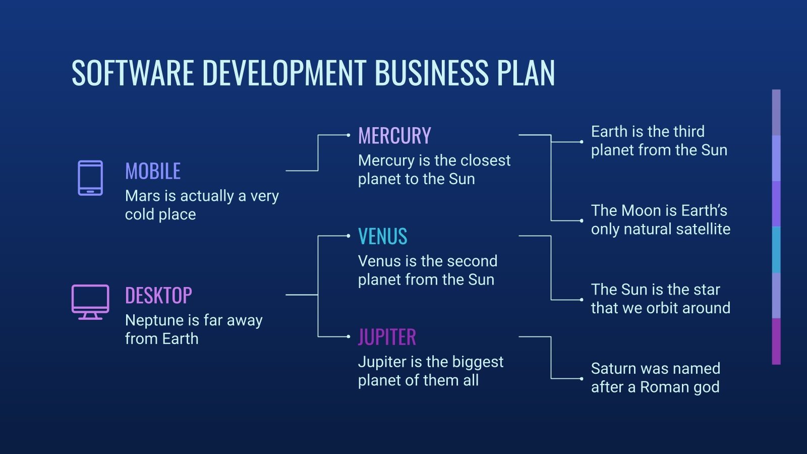 Software Development Business Plan Infographics