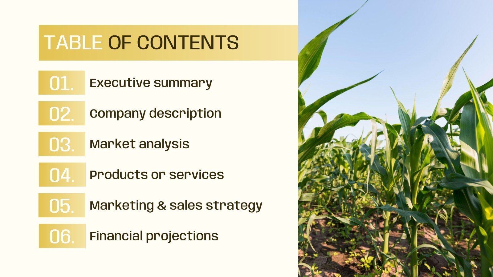 Industrial Corn Farm Business Plan Google Slides & PPT