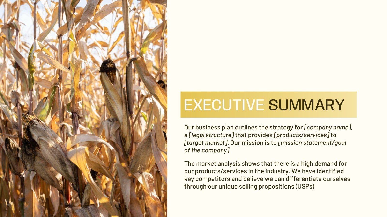 Industrial Corn Farm Business Plan Google Slides & PPT