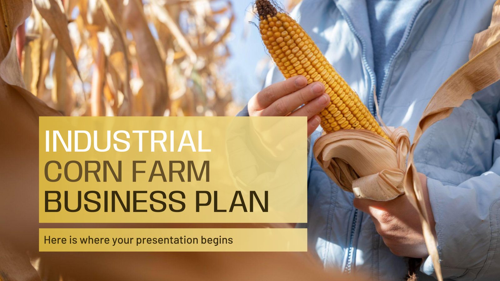 Industrial Corn Farm Business Plan presentation template 