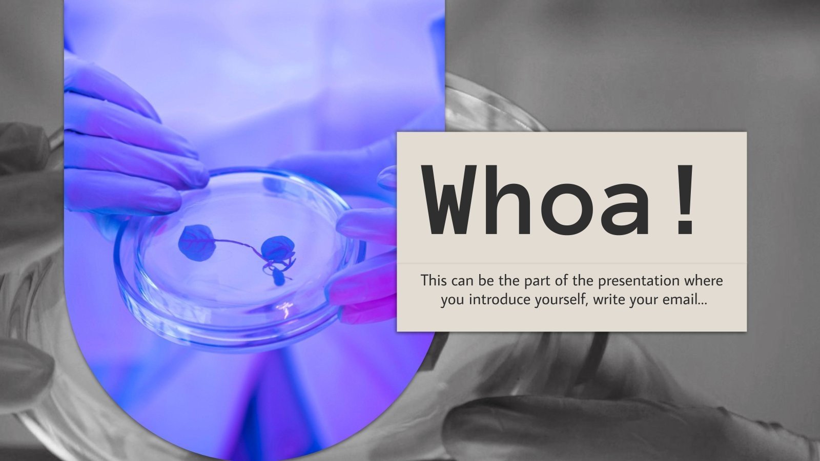 How to Prepare Culture Media Google Slides & PowerPoint