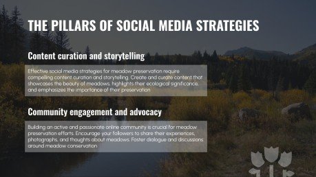 Meadow Preservation Social Media Strategy | Google Slides