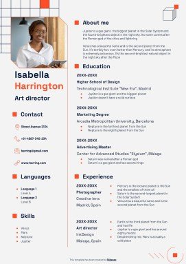 제품 관리자 이력서 프레젠테이션 템플릿