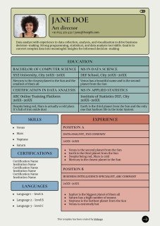 데이터 분석가 이력서 프레젠테이션 템플릿