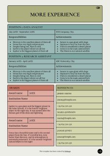데이터 분석가 이력서 프레젠테이션 템플릿