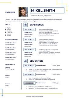 Electronic Circuit Style CV presentation template 