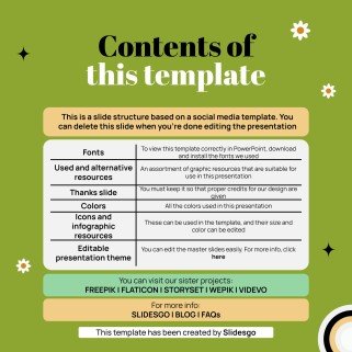 Herbal Makeup Brand IG Stories presentation template 